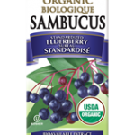 Nature's Way - Sambucus Elberberry Syrup 120ml